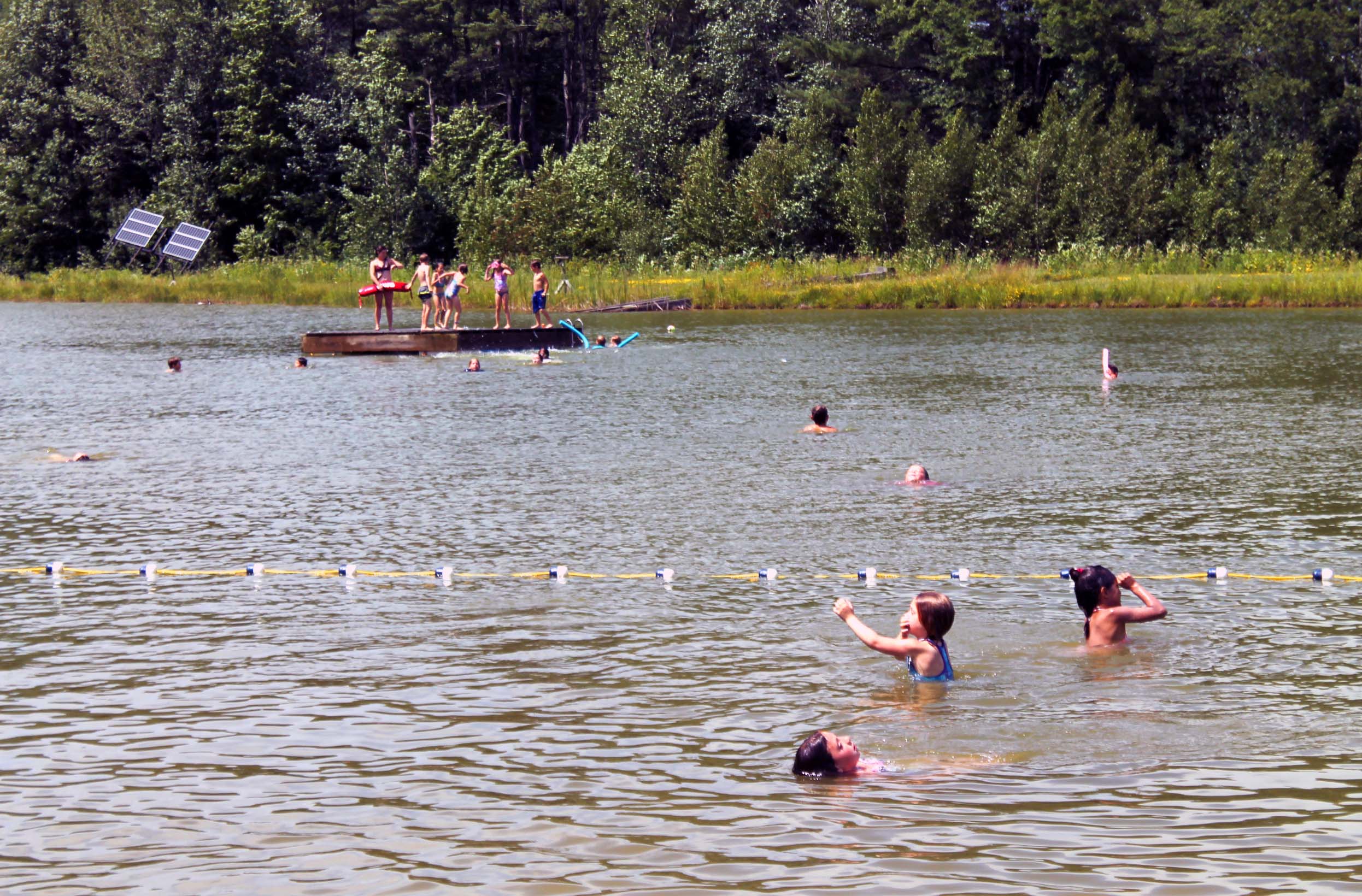 Day Camps