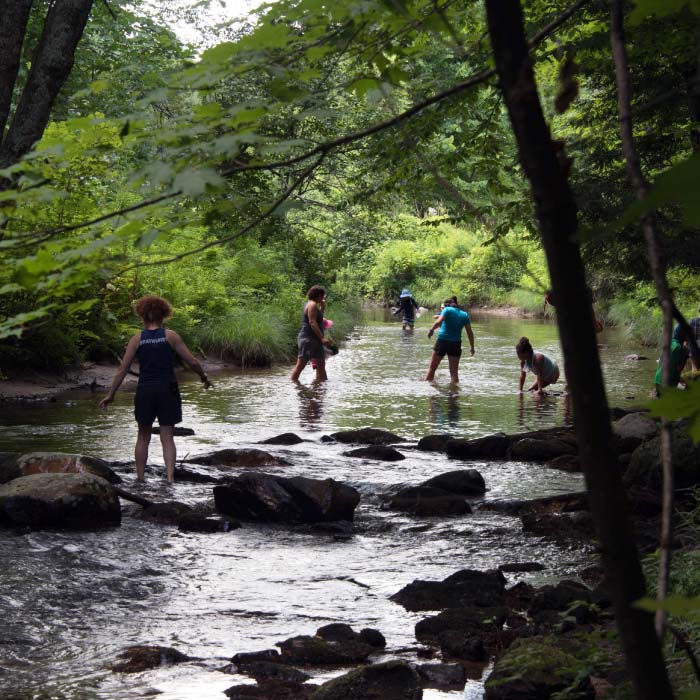 Lewis Creek
