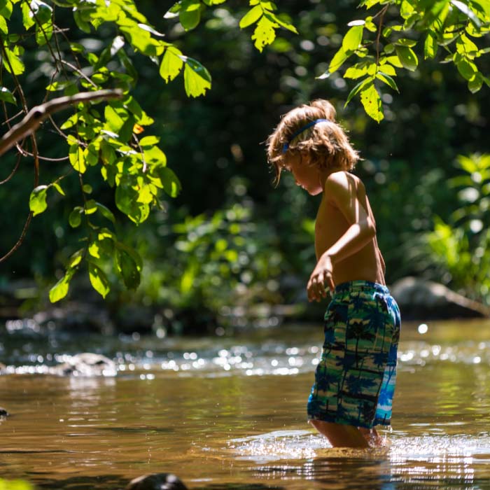 Lewis Creek