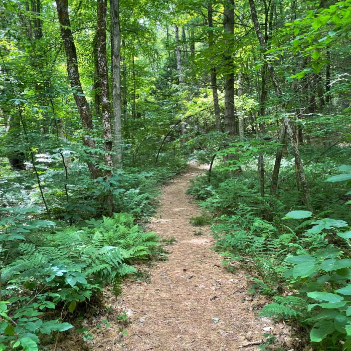 TRails